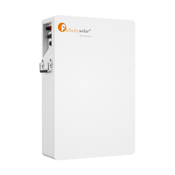 Акумулятор FelicityESS LPBA48100-OL  51.2V 100Ah 5.12kWh